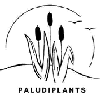 Logo PaludiPlants